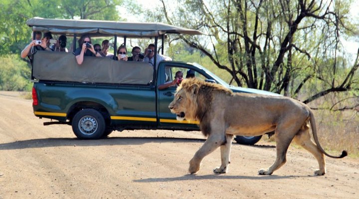 3 Night, 4 Day Katekani Kruger Safari
