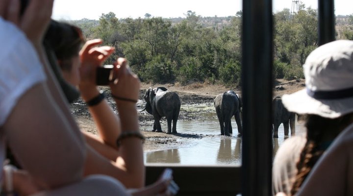 3 Night, 4 Day Katekani Kruger Safari