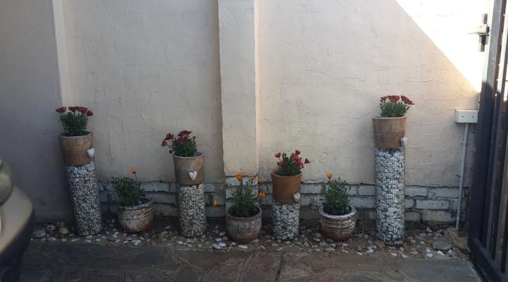 Silver Pine Self-Catering 