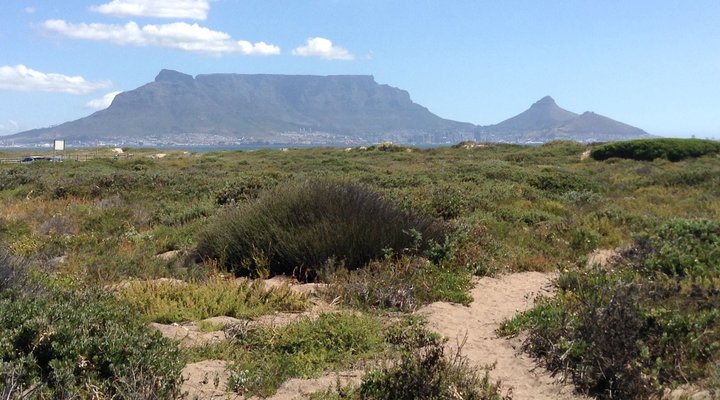 Bay Beach Self Catering