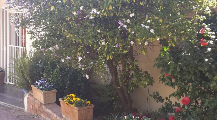 Silver Pine Self-Catering 