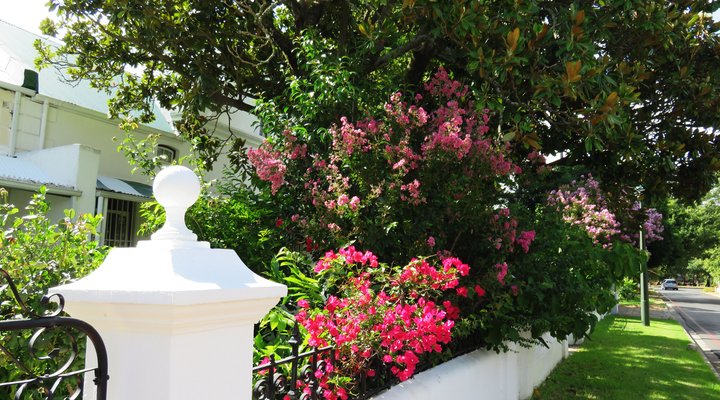 Fynbos Villa Guest House
