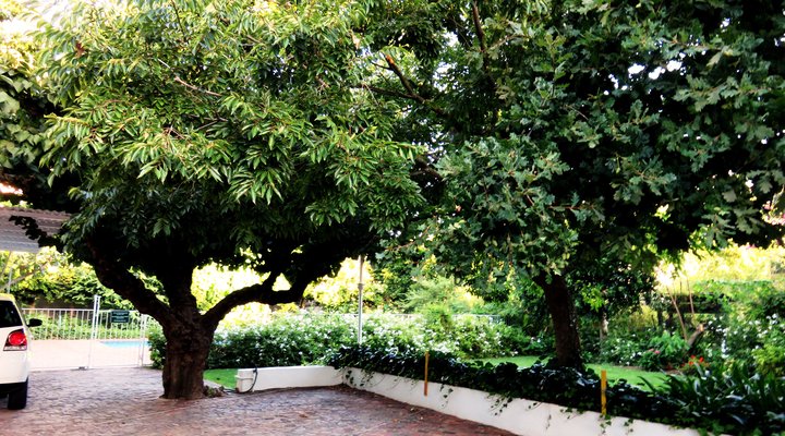 Fynbos Villa Guest House