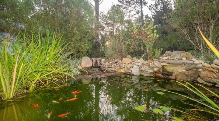 Eagles' Call Cottages & Tent