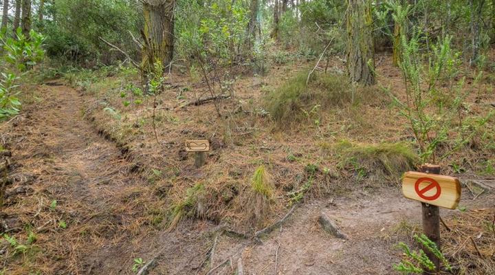 Eagles' Call Cottages & Tent