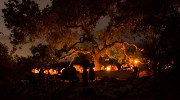 2 Night, 3 Day Marc's Treehouse Kruger Safari