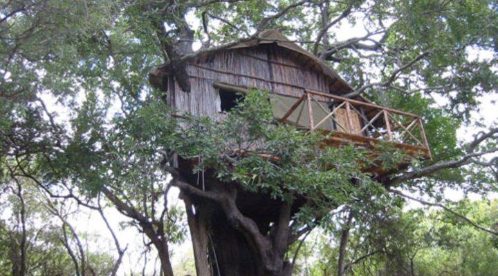 3 Night, 4 Day Marc's Treehouse Kruger Safari