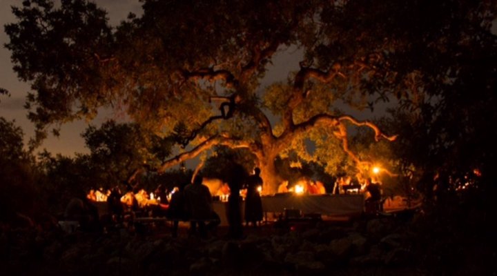 3 Night, 4 Day Marc's Treehouse Kruger Safari