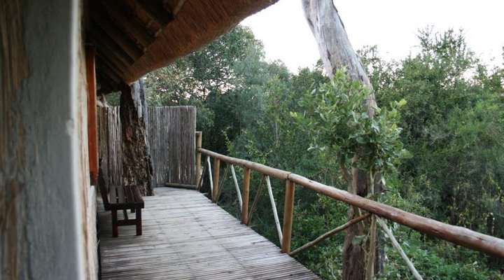 3 Night, 4 Day Marc's Treehouse Kruger Safari