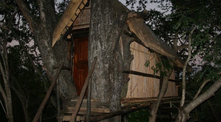 3 Night, 4 Day Marc's Treehouse Kruger Safari