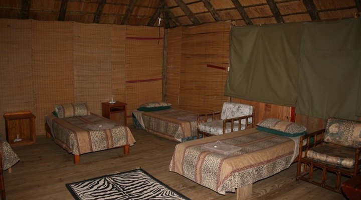 3 Night, 4 Day Marc's Treehouse Kruger Safari