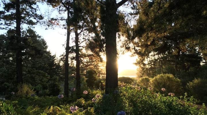 Eagles' Call Cottages & Tent