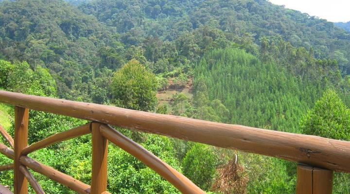 Rushaga Gorilla Camp