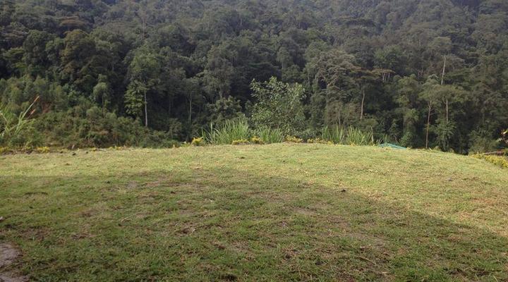 Rushaga Gorilla Camp