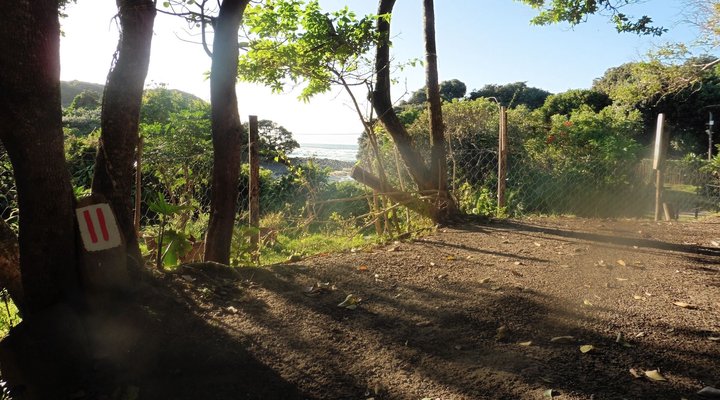 Friends Wild Coast Backpackers