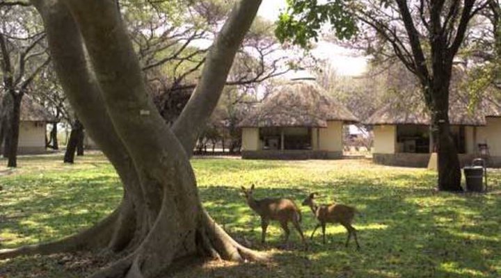 2 Night Safari Package at Letaba Rest Camp Kruger National Park SANParks