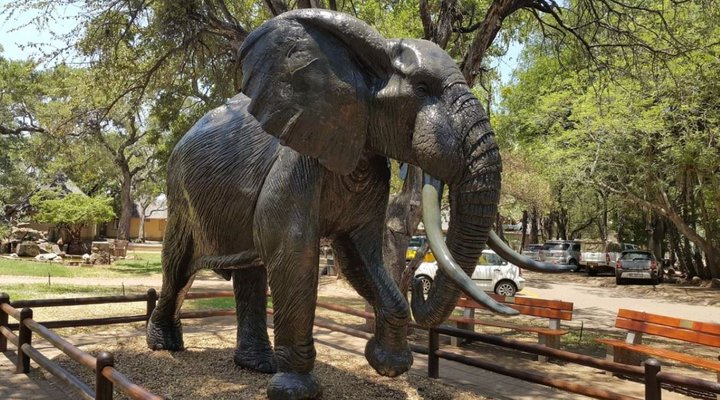 2 Night Safari Package at Letaba Rest Camp Kruger National Park SANParks
