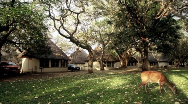 2 Night Safari Package at Letaba Rest Camp Kruger National Park SANParks