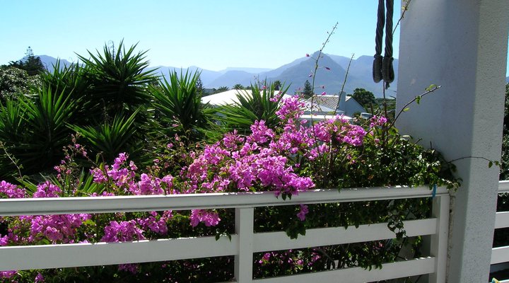 Somerset Way Bnb