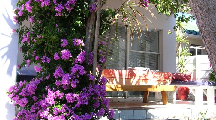 Somerset Way Bnb