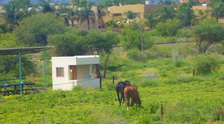 A Zebra Pausada Guest House