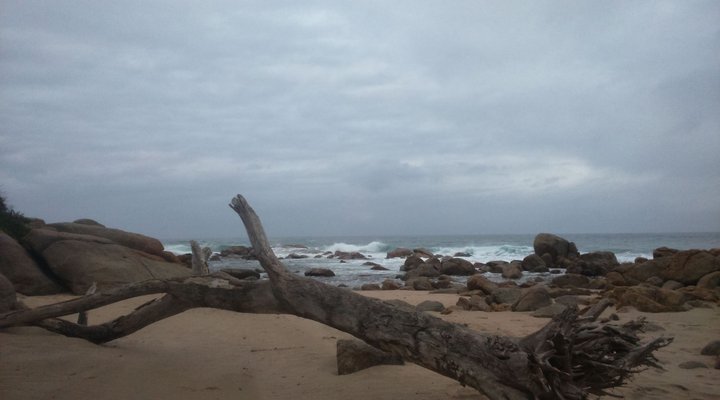 Driftwood Leisure Bay