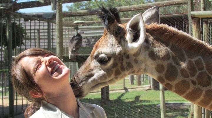 8 Night Best Of Kruger Package