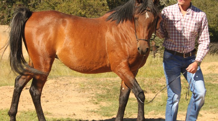 Verkykerskop Country Village & Farm Retreat