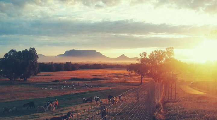 Half Day Private Wine Tour