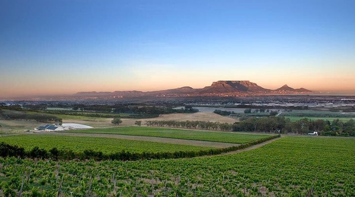 Half Day Private Wine Tour