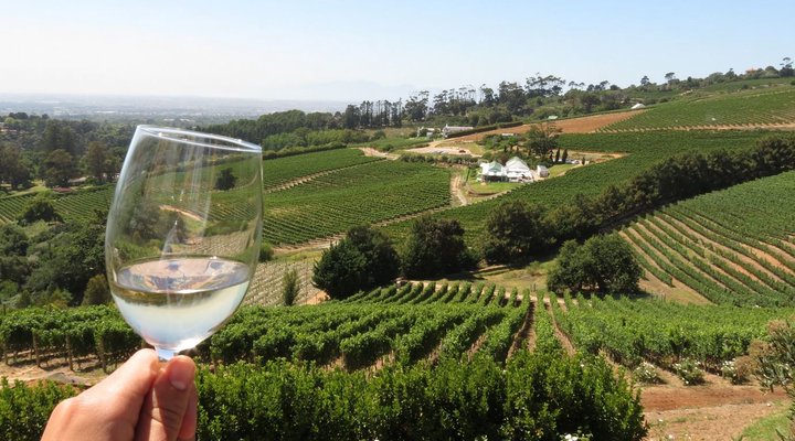 Half Day Private Wine Tour