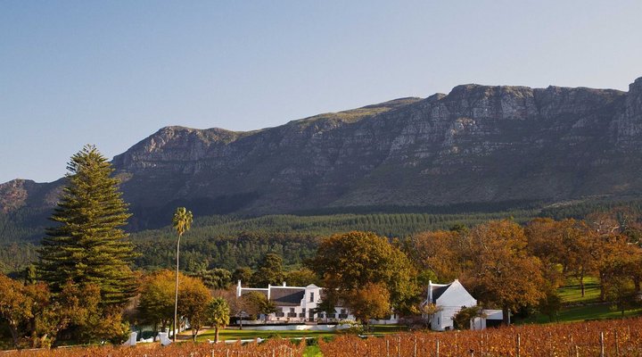 Half Day Private Wine Tour