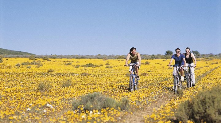 2 Night Natural Wellness Package