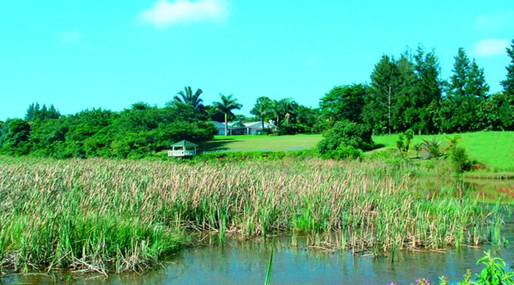 Rainbird Chalets B&B