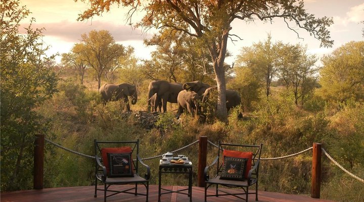 2 Night Hoyo Hoyo Safari Package