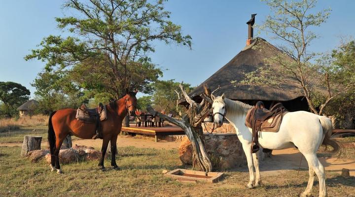 2 Night Kwafubesi Safari Package