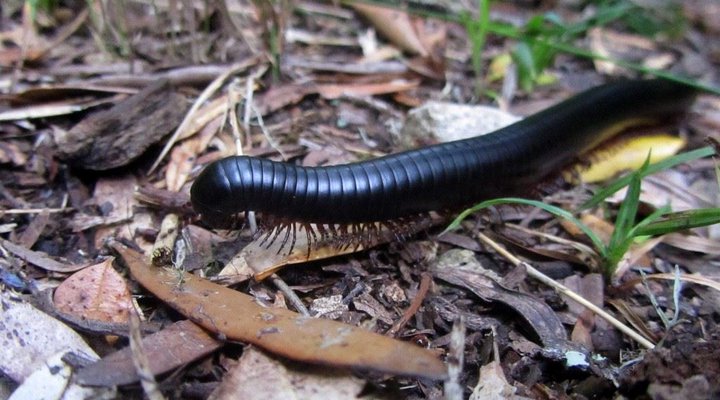 2 Nights at Knysna Lakes Section Garden Route National Park SANParks