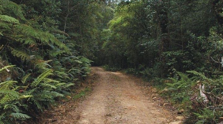 2 Nights at Knysna Lakes Section Garden Route National Park SANParks