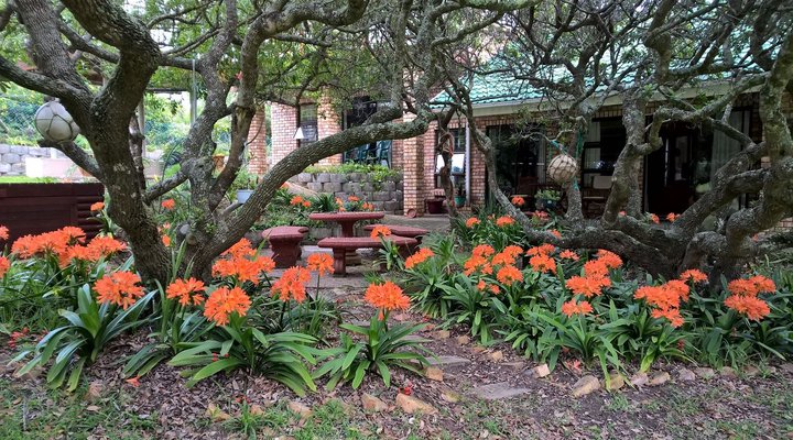 La Retraite Wilderness