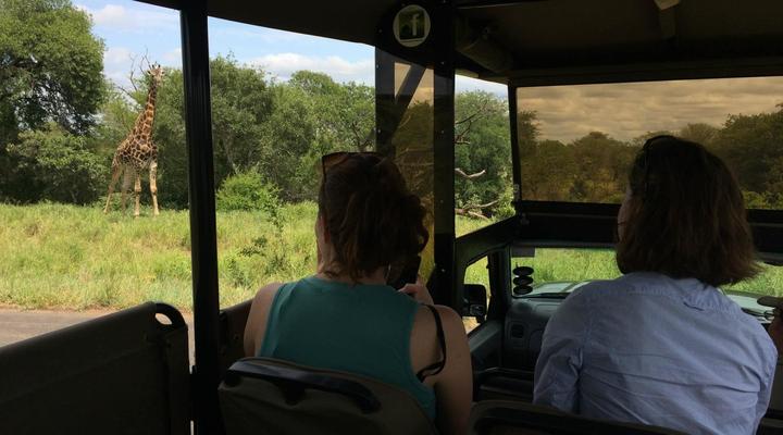 3 Night, 4 Day Private Tour in the African Bush