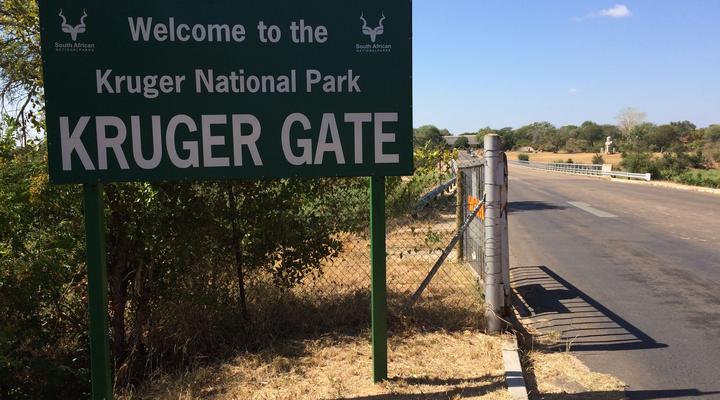 3 Night, 4 Day Private Tour in the African Bush