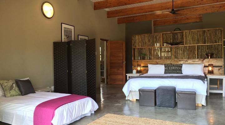 3 Night, 4 Day Private Tour in the African Bush