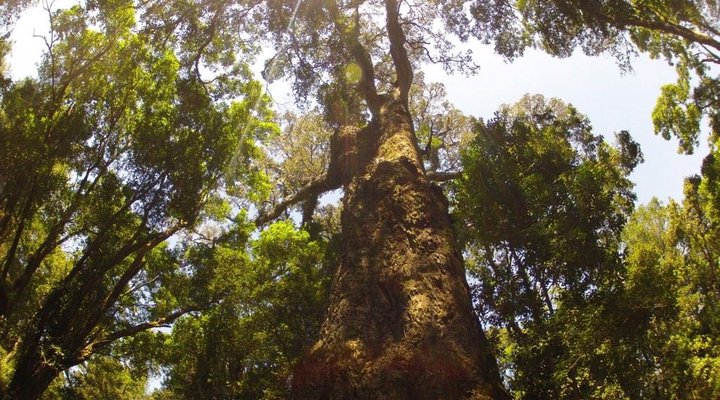 2 Nights at Knysna Lakes Section Garden Route National Park SANParks