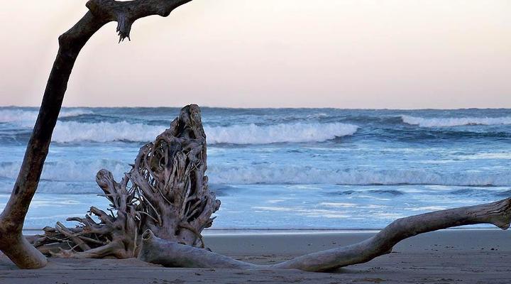 Dolphin & Whale Africa Villa