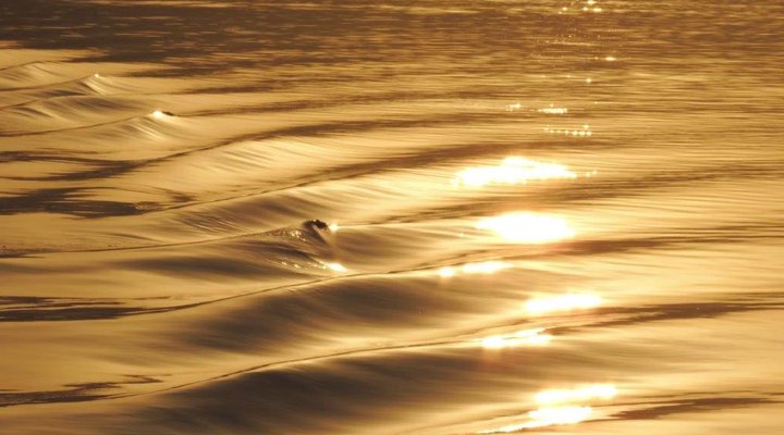 Hammock Island Loft Apartment