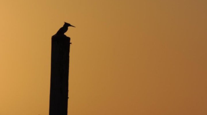 Hammock Island Loft Apartment