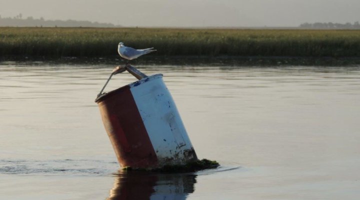 Hammock Island Loft Apartment