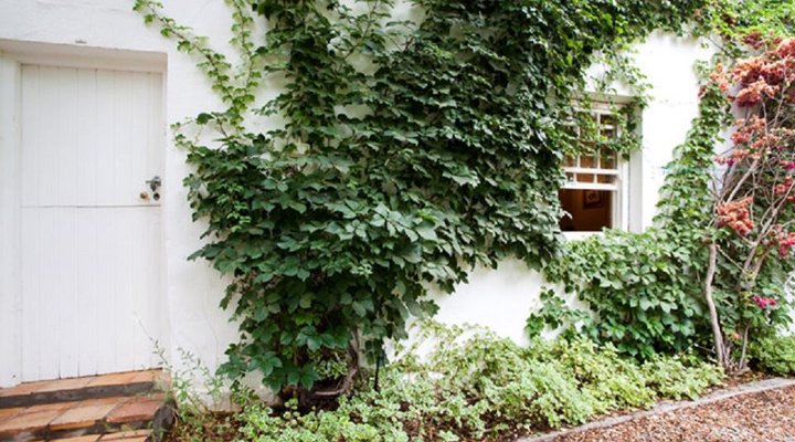 Bougainvillea Cottage