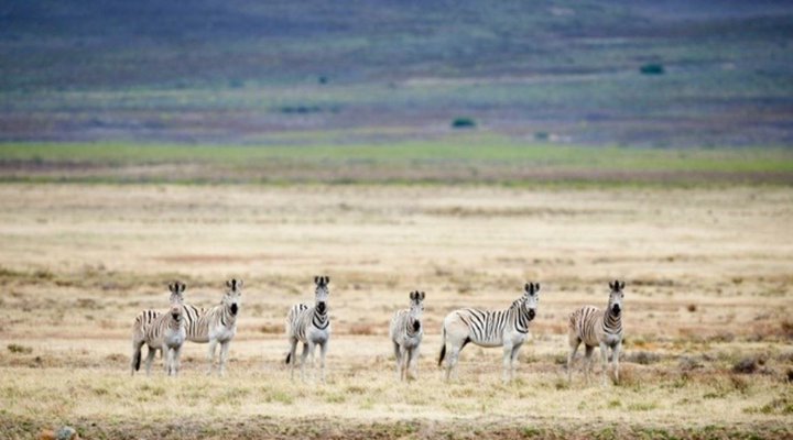 2 Nights in the Karoo National Park SANParks
