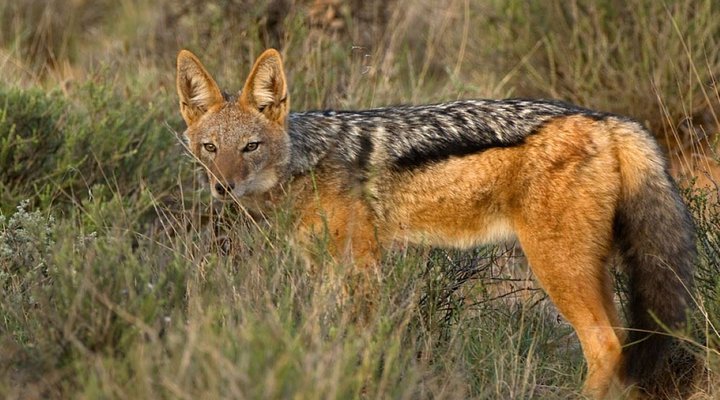 2 Nights in the Karoo National Park SANParks